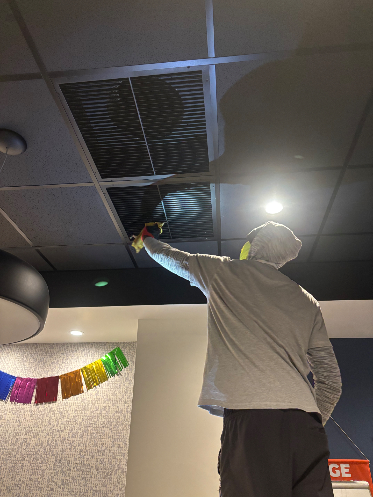 Mold Treatment & Protection